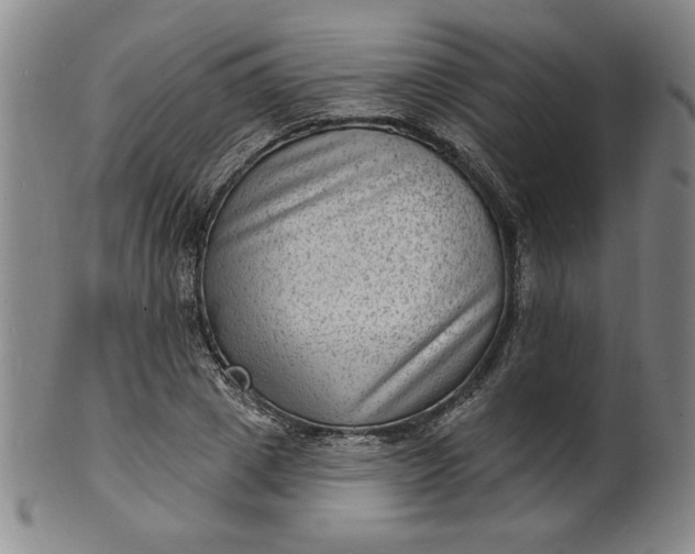 X0000102230833200808081345