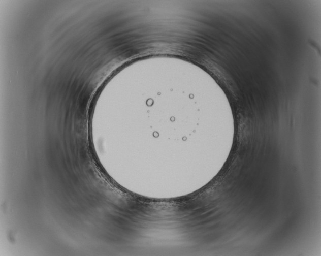 X0000102230836200808081345