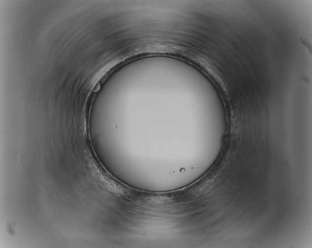 X0000102230837200808081345