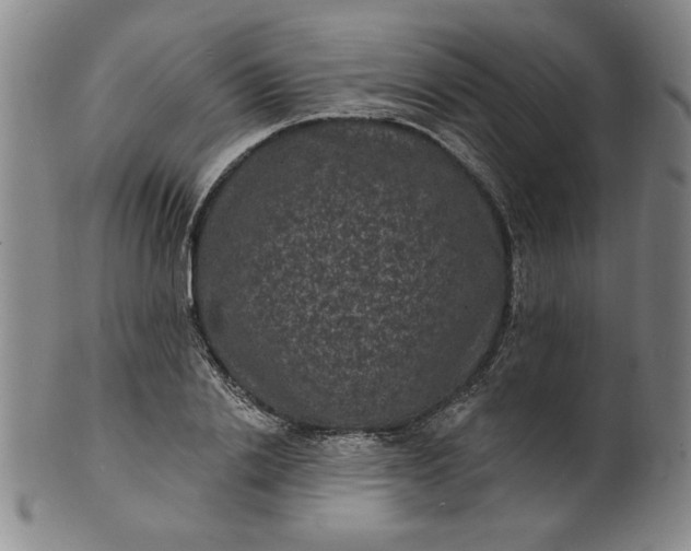 X0000102230838200808081345