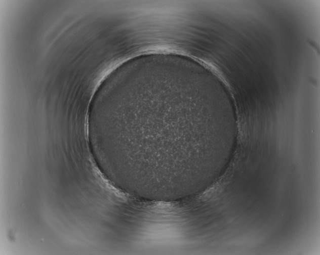 X0000102230839200808081345