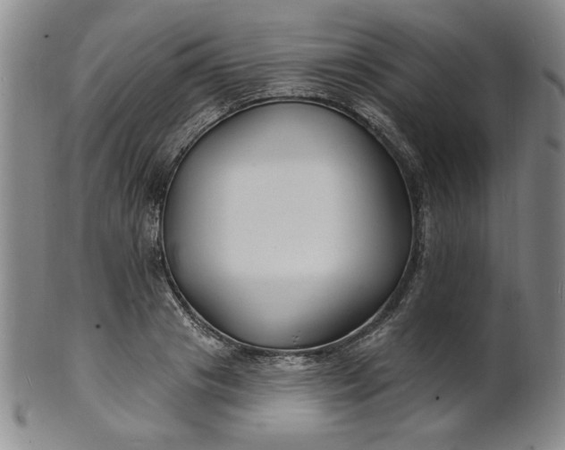 X0000102230841200808081345