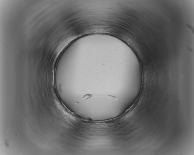 X0000102230844200808081345