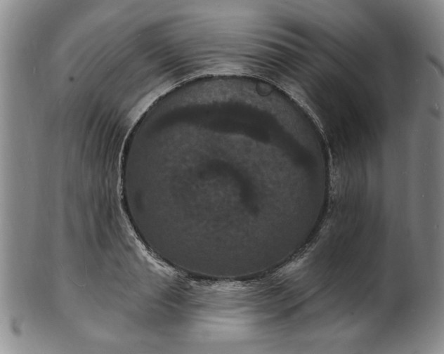 X0000102230845200808081345