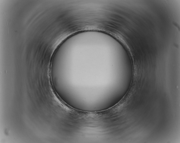 X0000102230847200808081345