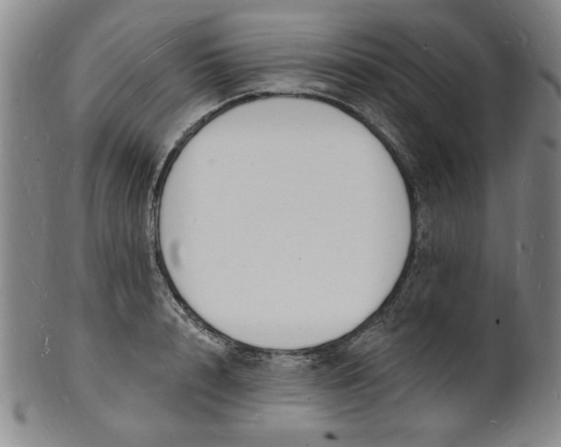 X0000102230848200808081345