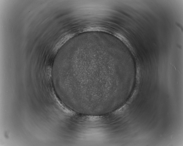 X0000102230849200808081345