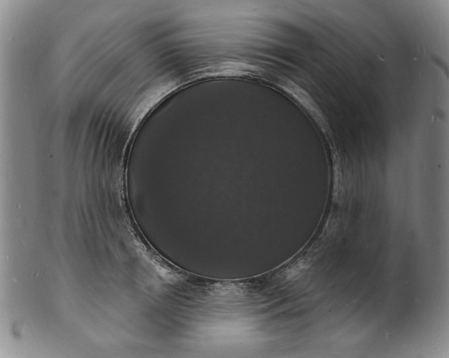 X0000102230850200808081345