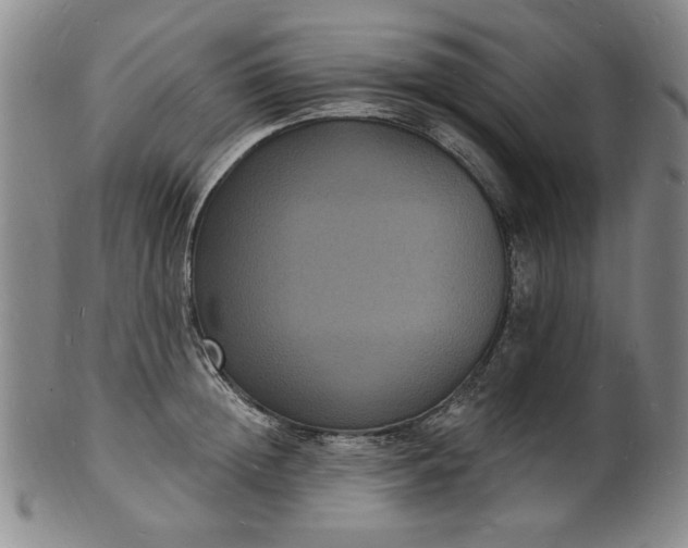 X0000102230852200808081346