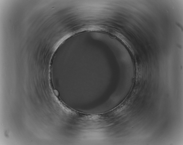 X0000102230853200808081346