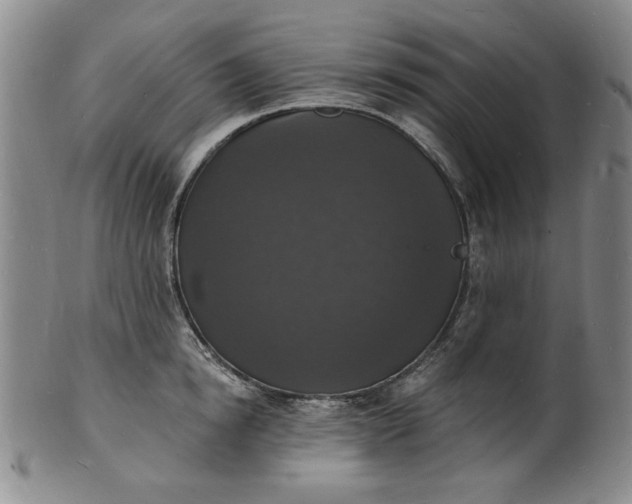 X0000102230854200808081346