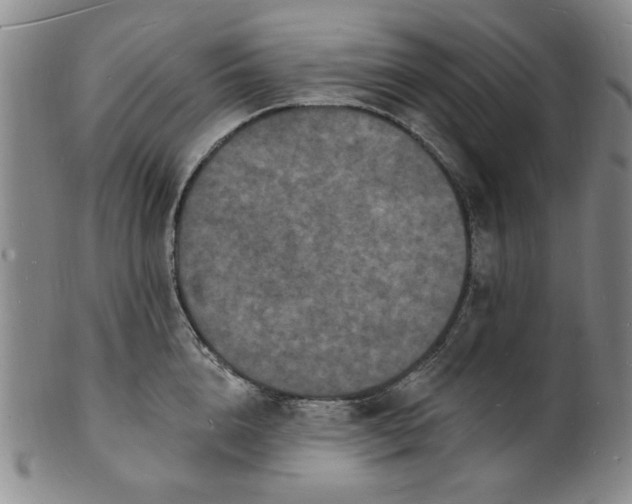 X0000102230856200808081346