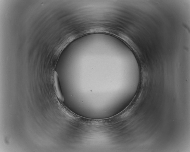 X0000102230857200808081346