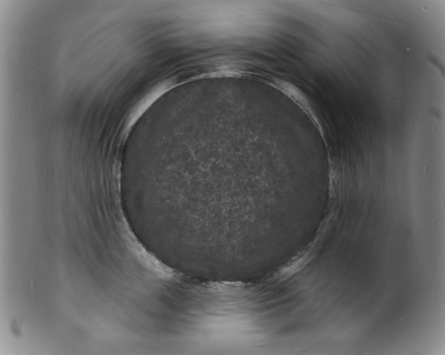 X0000102230859200808081346