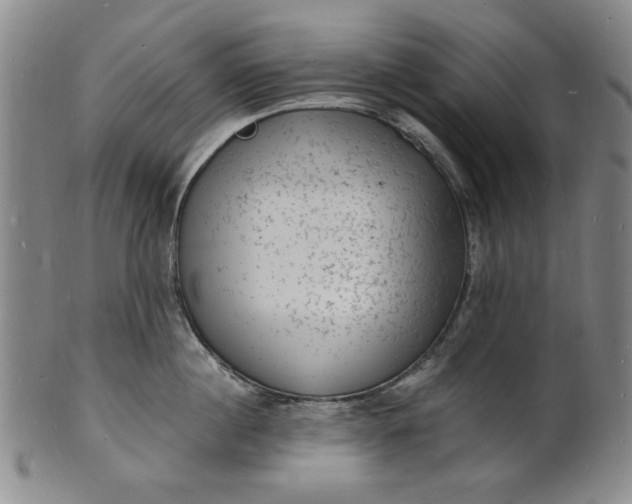 X0000102230860200808081346