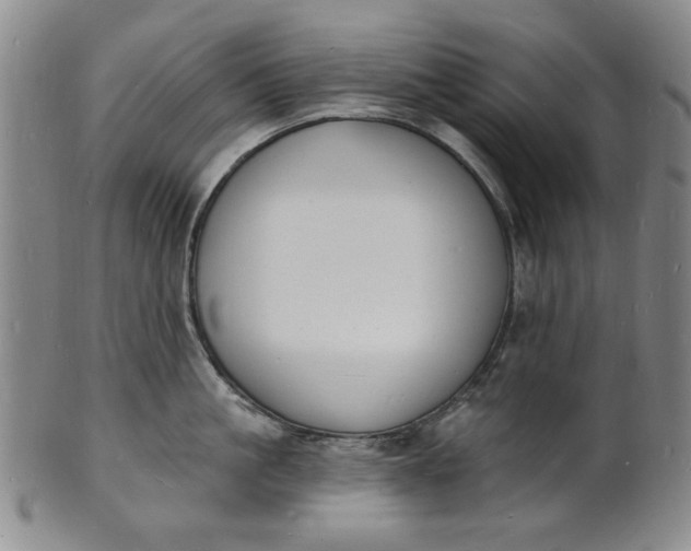 X0000102230861200808081346