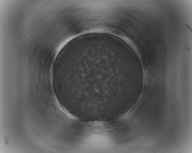 X0000102230862200808081346