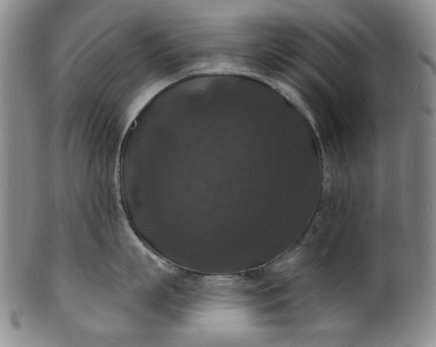 X0000102230863200808081346