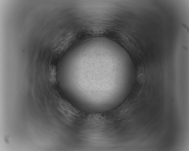 X0000102230866200808081345