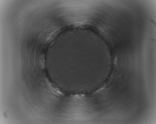 X0000102230868200808081345