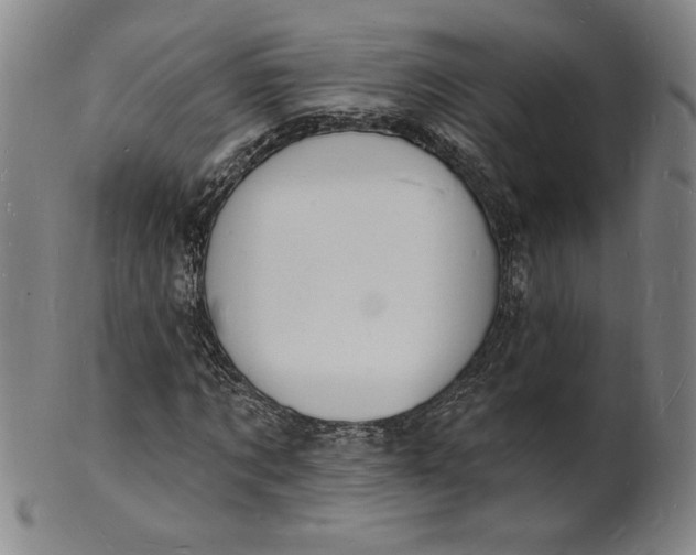 X0000102230869200808081345