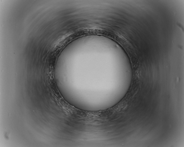 X0000102230870200808081345