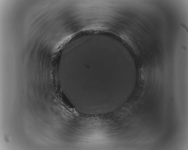 X0000102230872200808081345