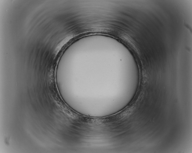X0000102230875200808081345
