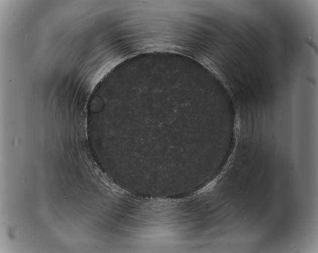 X0000102230877200808081345
