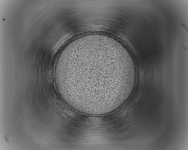 X0000102230878200808081345