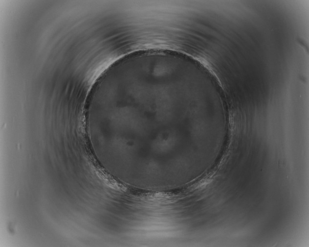 X0000102230879200808081345
