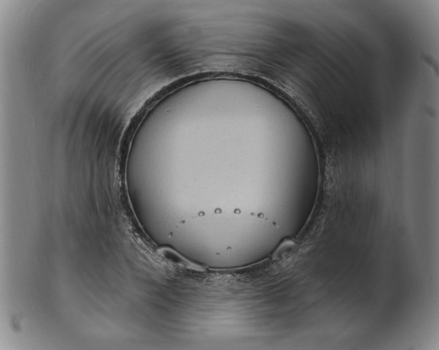 X0000102230880200808081345