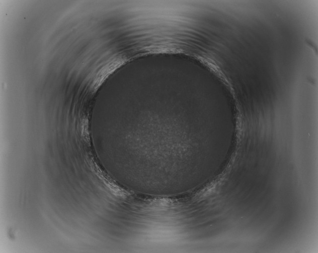 X0000102230881200808081345