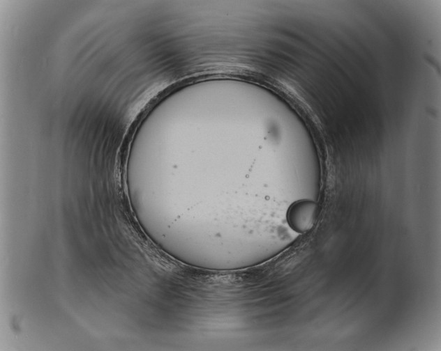 X0000102230883200808081345