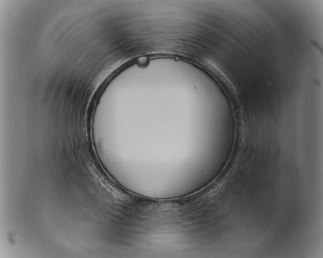 X0000102230884200808081345