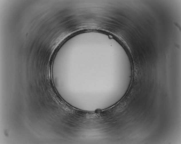 X0000102230887200808081345