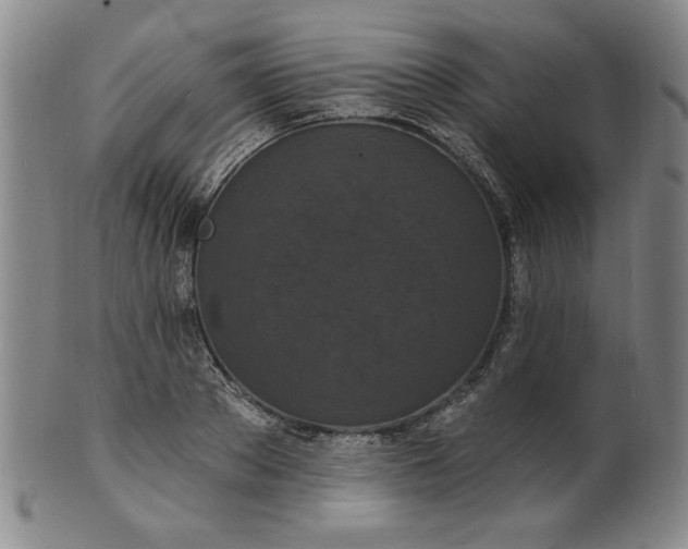 X0000102230889200808081345