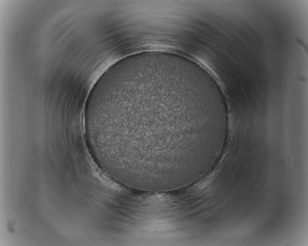 X0000102230891200808081345