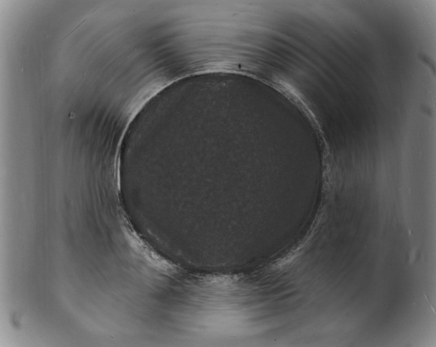 X0000102230892200808081345