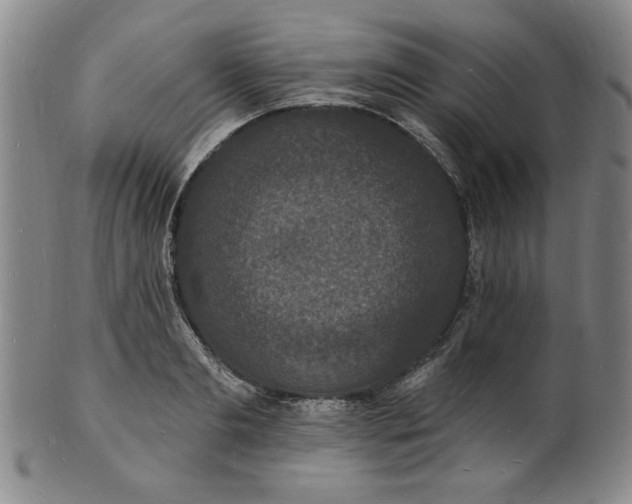 X0000102230893200808081345
