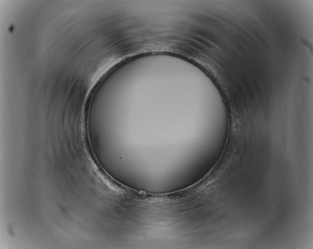 X0000102230894200808081345