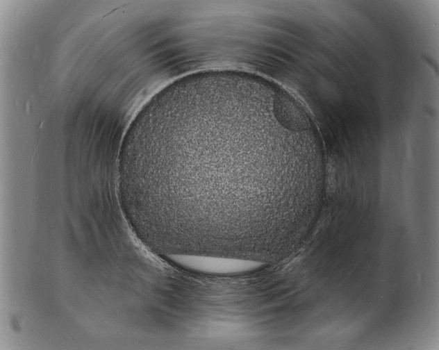X0000102230895200808081345