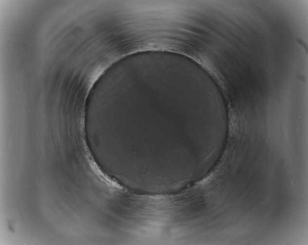 X0000102230896200808081345