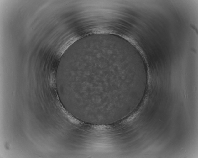 X0000102230897200808081345