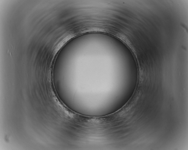 X0000102230898200808081345