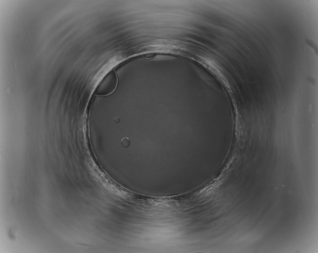 X0000102230899200808081345