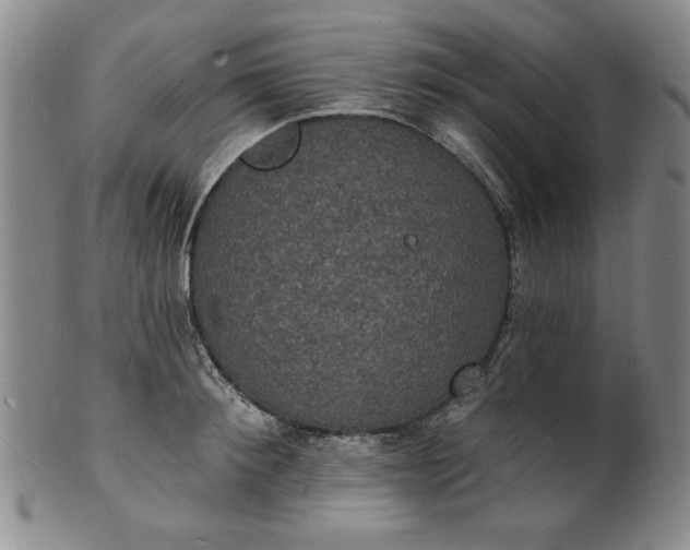 X0000102230900200808081345