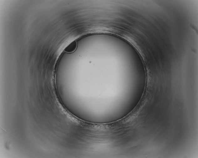 X0000102230901200808081345