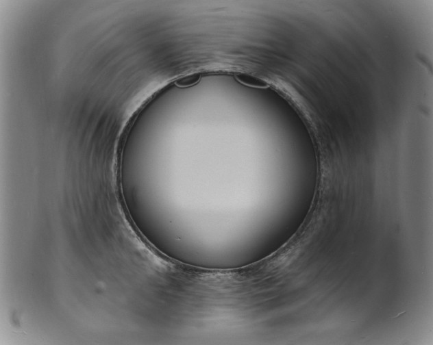 X0000102230902200808081345