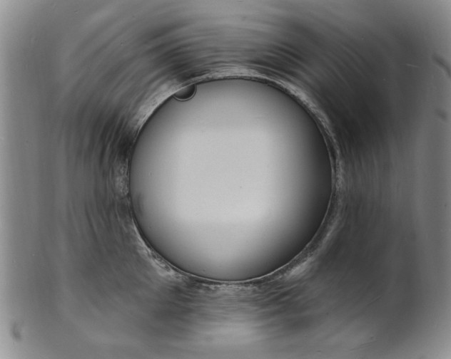 X0000102230905200808081344